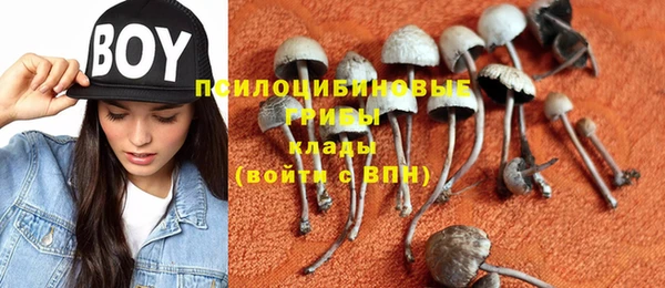 MDMA Premium VHQ Алзамай